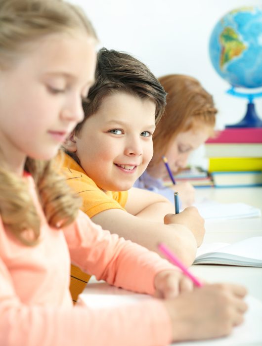 Portrait of smart schoolboy looking at camera between classmates